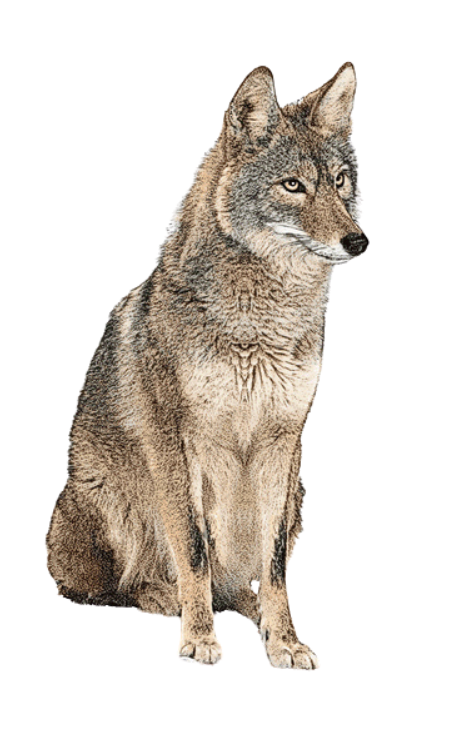 Untitled (750 x 450 px) (750 x 450 px) (450 x 750 px)